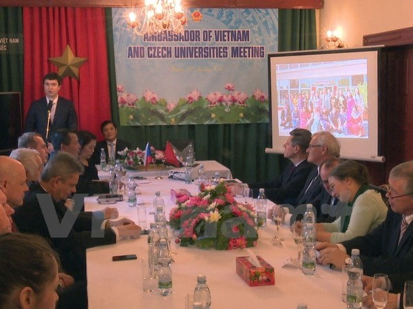 Le Vietnam et la R. tcheque examinent la cooperation en matiere d’education hinh anh 1