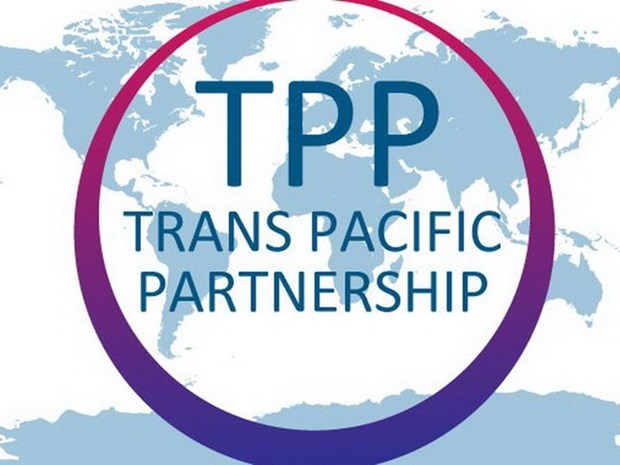Aucun accord de libre-echange ne peut remplacer le TPP hinh anh 1