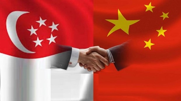 Singapour et la Chine s'efforcent de faconner leur relations hinh anh 1
