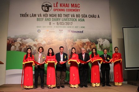 Vietnam-Australie : cooperation dans l’elevage bovin hinh anh 1