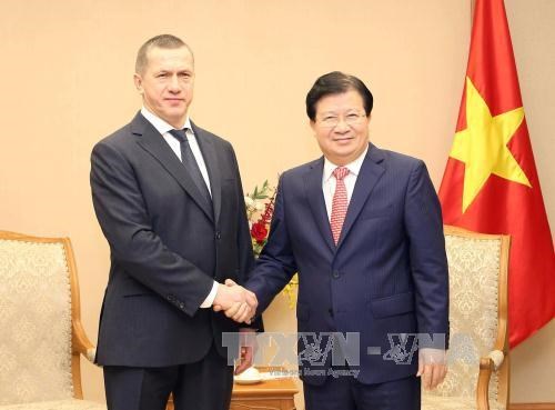 Vietnam et Russie renforcent la cooperation economique et commerciale hinh anh 1