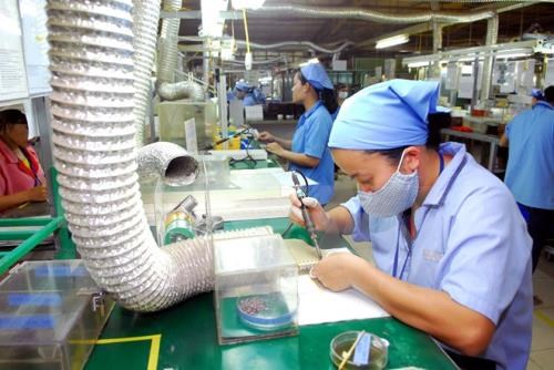 Le Vietnam realise un excedent commercial de 455,5 millions de dollars avec le Canada hinh anh 1