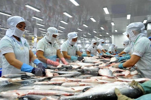 Le poisson tra du Vietnam exporte aux Etats-Unis retrouvera son nom de « catfish » hinh anh 1