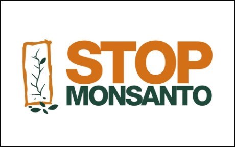 Deux eurodeputes demandent une commission d'enquete sur Monsanto hinh anh 1