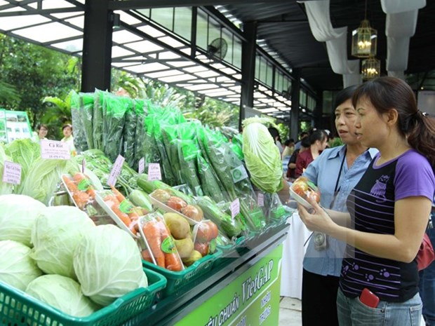 Fruits et legumes : le Vietnam vise 3 milliards de dollars d'exportations en 2017 hinh anh 2
