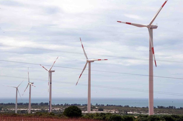 L’Allemagne aide le Vietnam a developper l'energie eolienne hinh anh 1