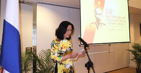 L’anniversaire du President Ho Chi Minh celebre aux Pays-Bas hinh anh 1