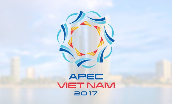 APEC 2017: le Vietnam propose quatre initiatives de cooperation financiere hinh anh 1