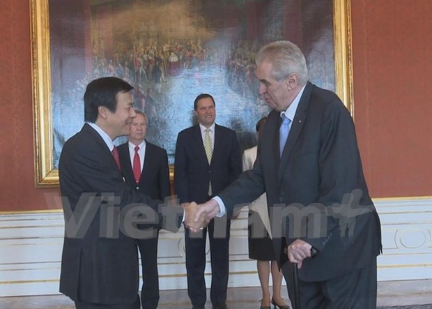 L'ambassadeur du Vietnam en R. tcheque presente ses lettres de creance hinh anh 1