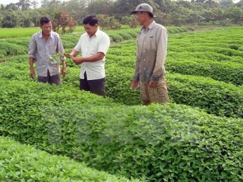 Le groupe japonais Horimasa veut investir dans l'agriculture bio et l'education a An Giang hinh anh 1