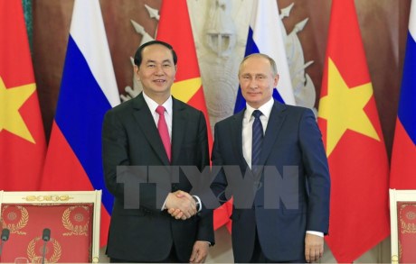 Declaration commune sur les resultats de la visite officielle en Russie du president Tran Dai Quang hinh anh 1