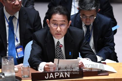 Le Japon affirme continuer d’approfondir la cooperation avec l’ASEAN hinh anh 1