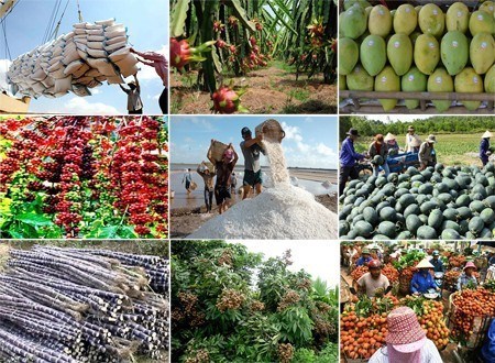 20,45 milliards de dollars d’exportations de produits agricoles, sylvicoles et aquatiques hinh anh 1