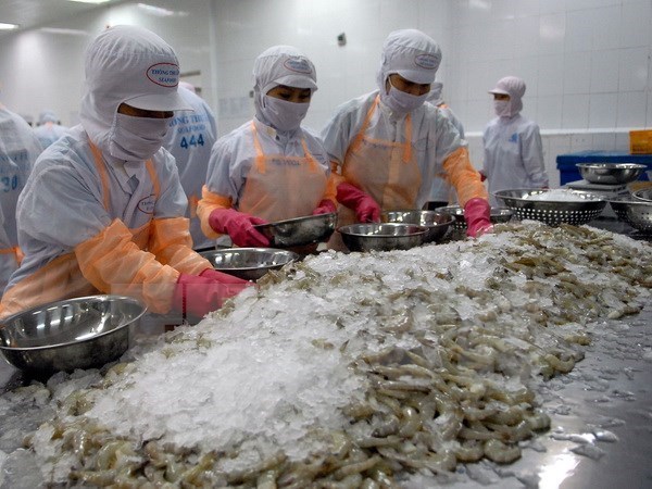 Les Etats-Unis augmentent les taxes antidumping sur les crevettes vietnamiennes hinh anh 1