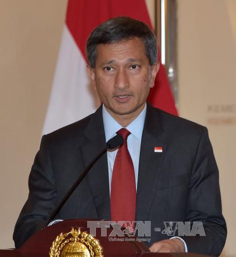 Singapour estime positives les relations ASEAN-Chine hinh anh 1