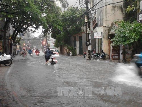 Le Japon aide Hanoi a ameliorer la capacite de prevention des inondations hinh anh 1