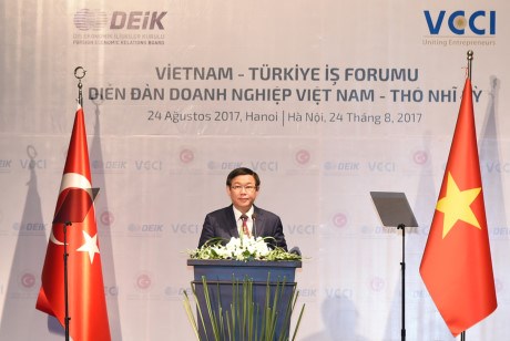 Forum d’affaires Vietnam-Turquie hinh anh 1