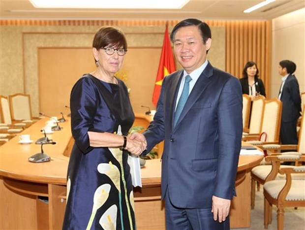 Le vice-PM Vuong Dinh Hue recoit des ambassadeurs etrangers hinh anh 1