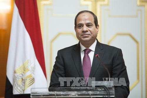 La visite au Vietnam du president egyptien ouvrira un nouveau chapitre dans les liens bilateraux hinh anh 1