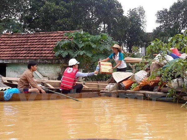 L’USAID aide le Vietnam a lutter contre les catastrophes naturelles hinh anh 1