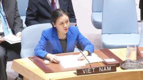 Le Vietnam au debat general de la Commission sur le desarmement et la securite internationale hinh anh 1