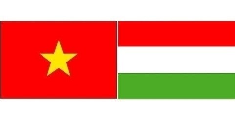 Vietnam - Hongrie : Promouvoir la cooperation dans le commerce et l’investissement hinh anh 1