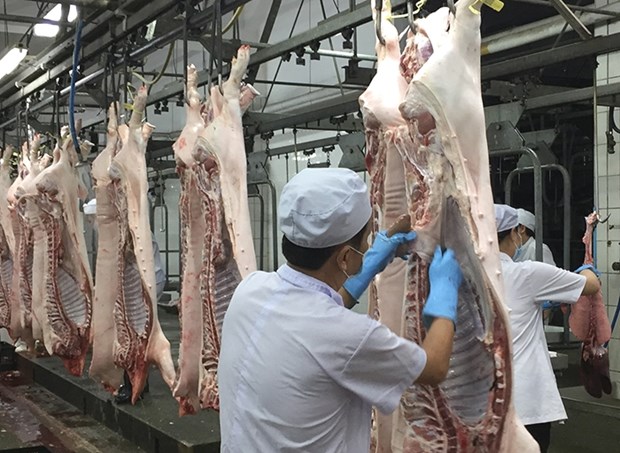 Dynamiser les exportations nationales de viande porcine hinh anh 1