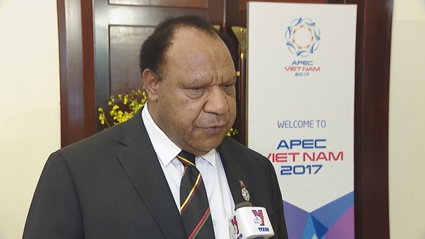 APEC 2017 : des experiences du Vietnam tres utiles pour la Papouasie-Nouvelle-Guinee hinh anh 1
