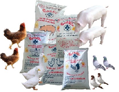 Cooperation internationale pour ameliorer la gestion de la qualite des aliments pour animaux hinh anh 1