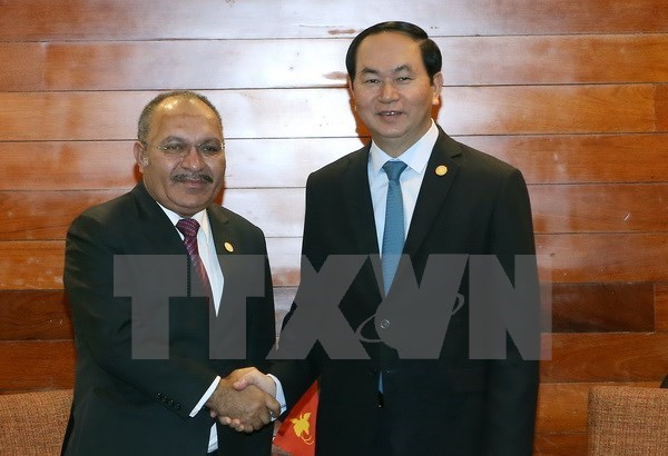 APEC 2017 : le Vietnam et la Papouasie-Nouvelle-Guinee renforcent leur cooperation hinh anh 1