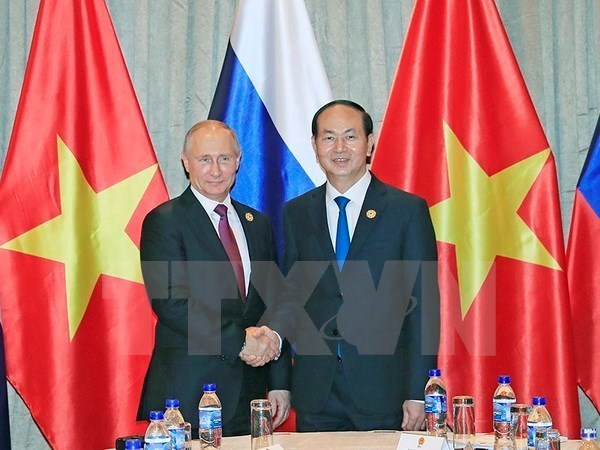 APEC 2017: rencontre Tran Dai Quang-Vladimir Poutine a Da Nang hinh anh 1