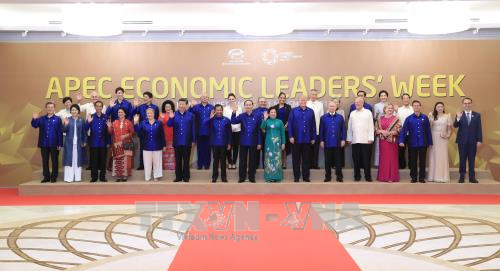 La 25e conference des dirigeants economiques de l'APEC a Da Nang hinh anh 1