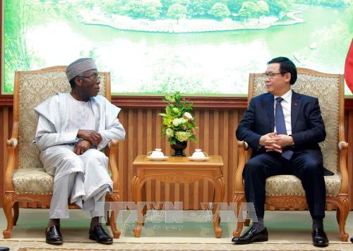 Le Vietnam souhaite developper la cooperation multiforme avec le Nigeria hinh anh 1