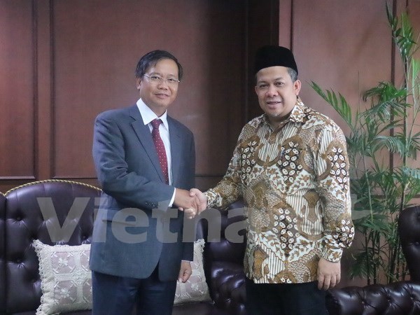 L’Indonesie attache de l’importance a ses relations avec le Vietnam hinh anh 1