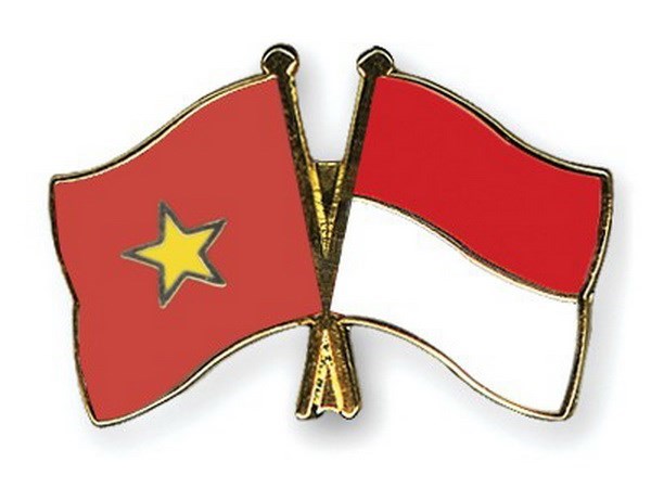 Role des organisations regionales dans le renforcement de la cooperation Vietnam-Indonesie hinh anh 1