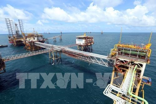 Vietsovpetro fixe l’objectif de 4 millions de tonnes de petrole en 2018 hinh anh 1