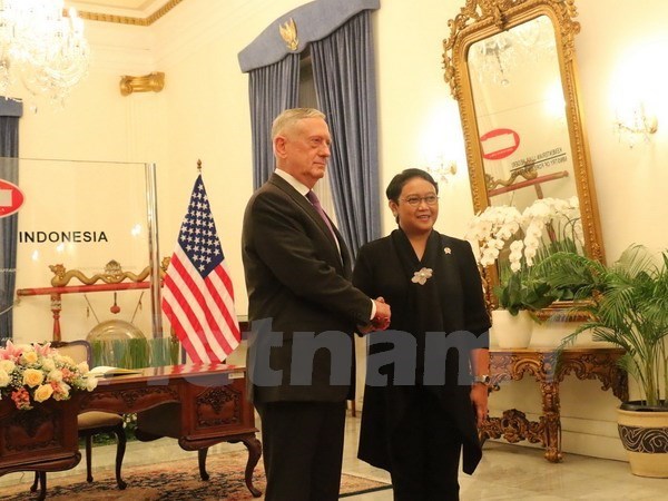 Le secretaire d'Etat americain a la Defense rencontre le ministre indonesien des AE hinh anh 1