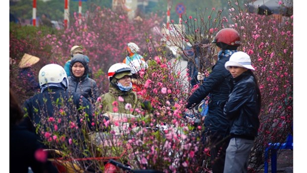 Le marche aux fleurs de Quang Ba est l’une des 14 destinations ideales pour le Tet hinh anh 1