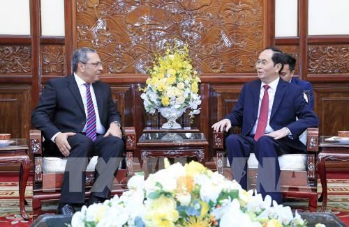 Le president Tran Dai Quang recoit les ambassadeurs sud-africain et egyptien hinh anh 2