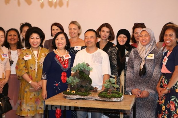 Promotion de la culture vietnamienne en Australie hinh anh 1