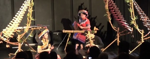 «1001 sons de bambou» : la culture vietnamienne a l’honneur a Paris hinh anh 1