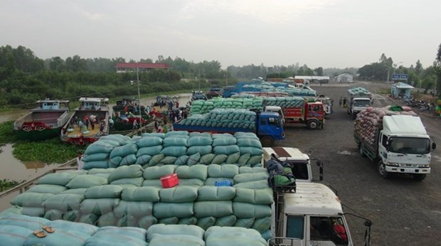 Les exportations de produits agricoles via la porte frontaliere internationale de Lao Cai en hausse hinh anh 1