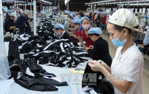 Textile : la R. de Coree aide le Vietnam a acceder a des technologies modernes hinh anh 1