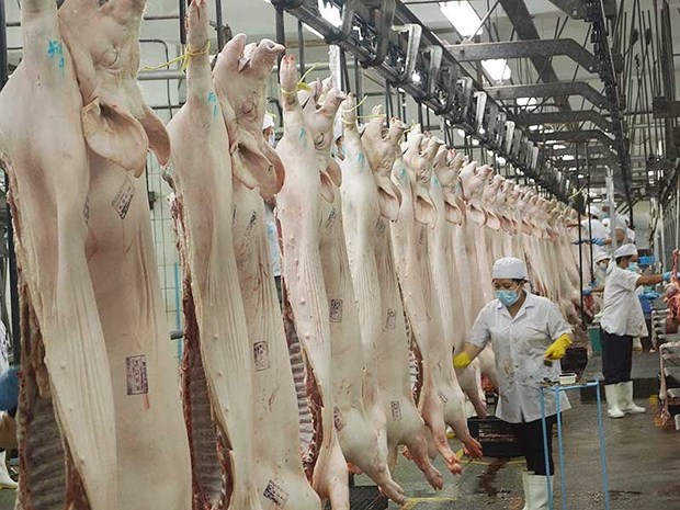 Viande porcine: les importations nationales depassent le million de dollars en juin hinh anh 1