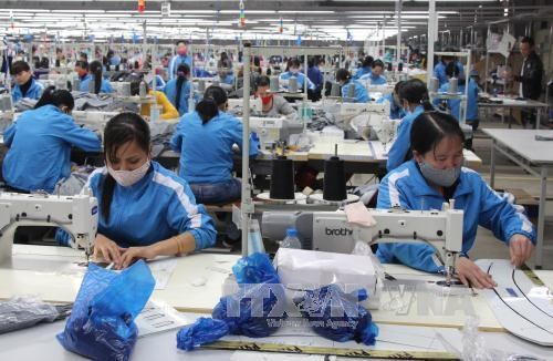 Les accords de libre-echange favorisent le secteur du textile-habillement hinh anh 1