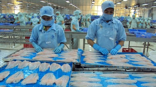 Pangasius : Hausse de plus de 130% des exportations vers les EAU hinh anh 1