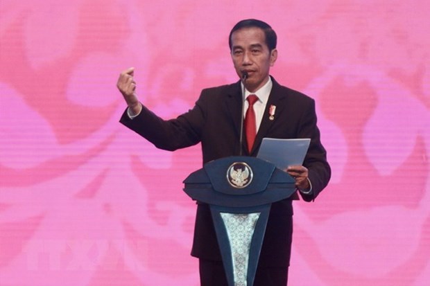 Le president indonesien annonce sa candidature a la presidentielle hinh anh 2