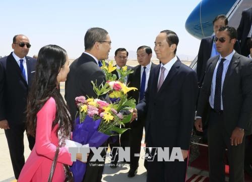 La visite du president vietnamien en Egypte ouvre une nouvelle perspective de cooperation bilaterale hinh anh 1