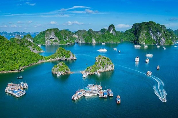 Tourisme maritime du Vietnam: croissance impressionnante hinh anh 1