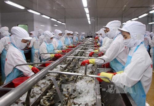 Les Etats-Unis diminuent les taxes antidumping sur les crevettes vietnamiennes hinh anh 1